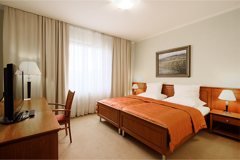 room hotel matyšák