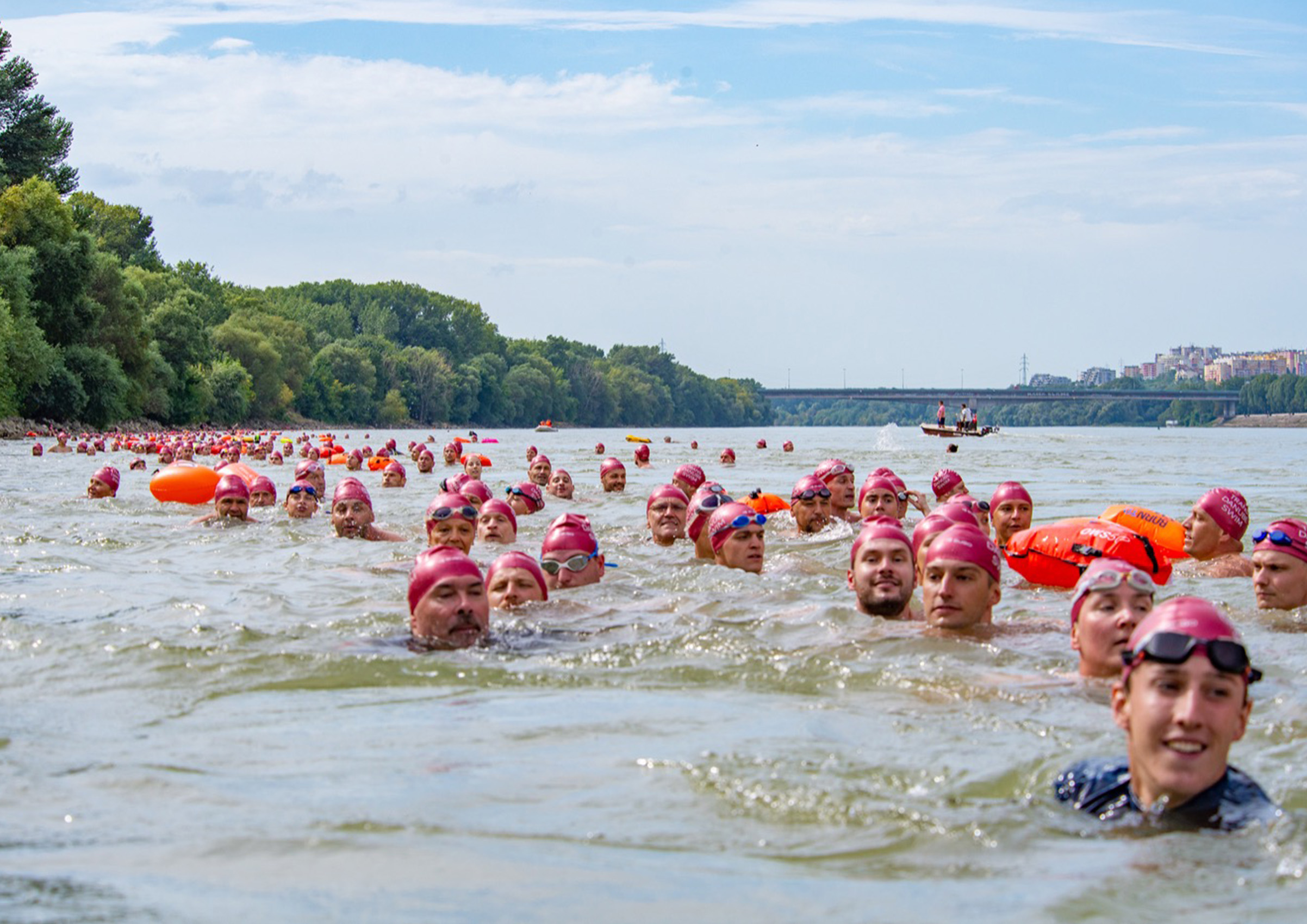 Plavci v ružových plaveckých čiapkach plávajú cez dunaj počas Trans Danube Swim